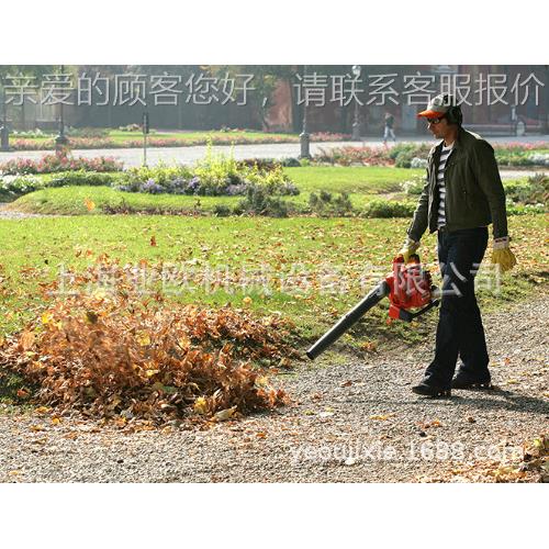 意大利欧HSA玛OleoMac落叶吹吸机 0BV30吹 尘机-道路吹风机