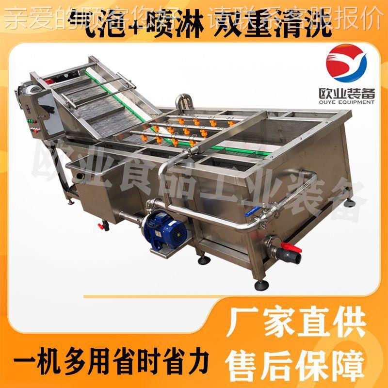 APC百香洗果气泡清洗机 茶叶清流水线 荔枝清洗洗机器水蜜 桃清设