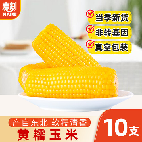 东北黏糯玉米真空10支装新货现摘