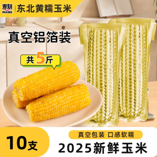 新鲜正宗东北玉米黄糯玉米大棒2025苞米真空铝箔包装 非即食代早餐