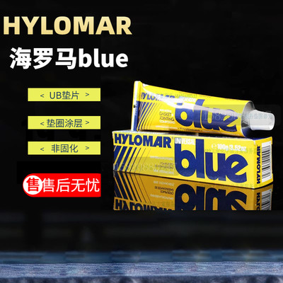 海罗马Blue非固化密封100g