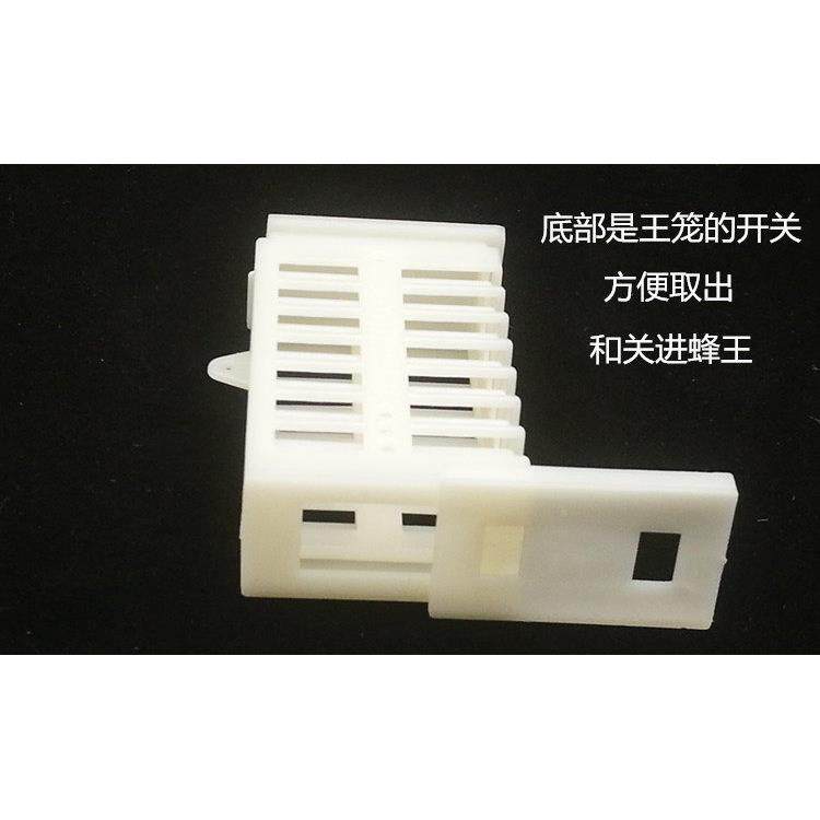 蜂具蜂工具养塑BLQ料王笼蜜蜂多功笼能蜂王王囚蜂囚王笼中蜂蜂箱