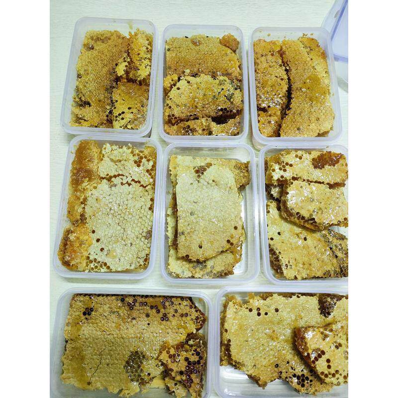 直播挖野生蜜真蜂蜂蜜纯然DOY蜂天巢蜜百花蜜老巢原蜜花粉蜜蜜土
