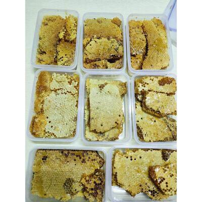 直播挖野生蜜真蜂蜂蜜纯然DOY蜂天巢蜜百花蜜老巢原蜜花粉蜜蜜土