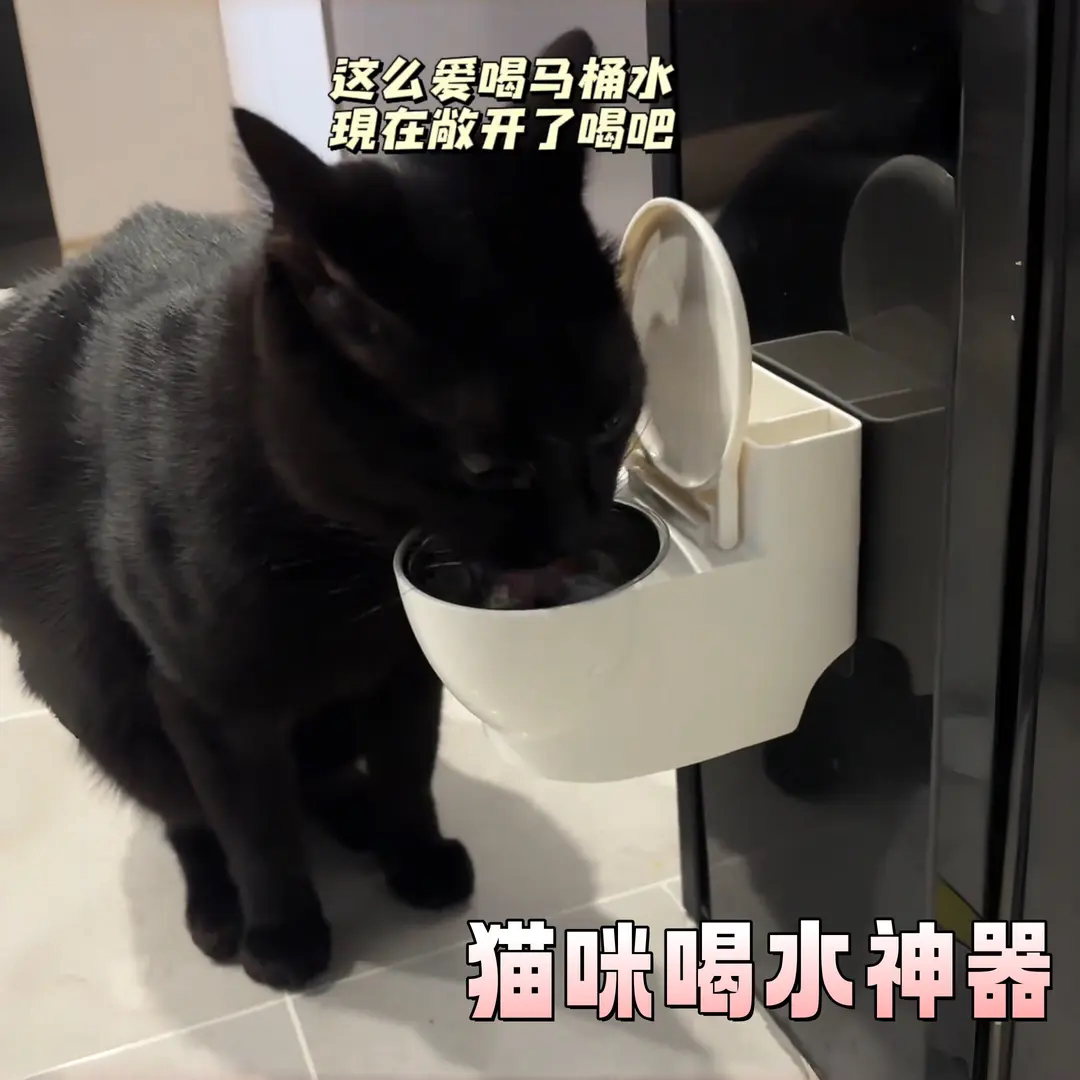 猫咪马桶悬挂防翻饮水机
