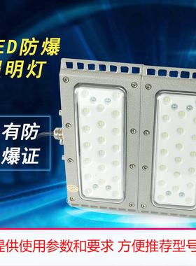 led防爆照明灯BPDT-2防水户外照明灯石油化工危险场所照明灯220V