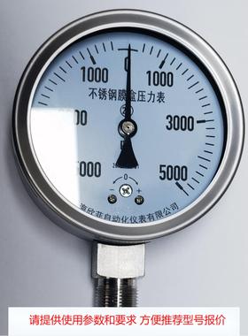 不锈钢膜盒压力表YE-100B微压表