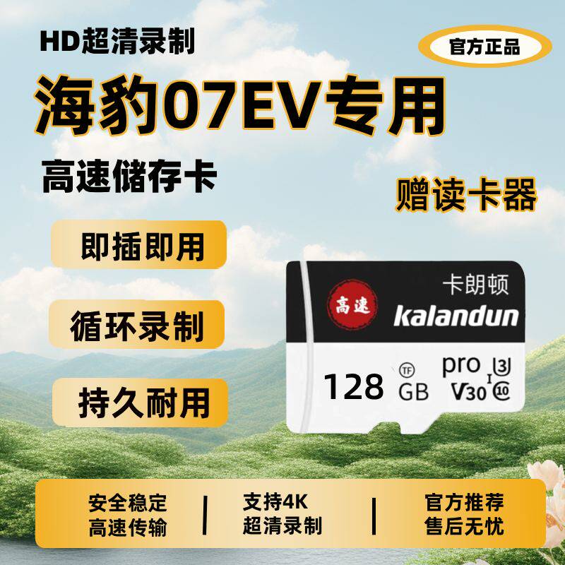 比亚迪海豹07EV行车记录仪专用内存卡fat32哨兵模式存储卡tf卡sd