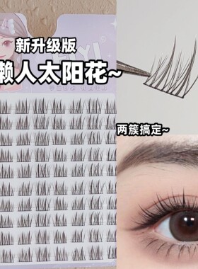 程十安推荐双懒人太阳花假睫毛女自然仿真单簇三部曲黑梗分段式