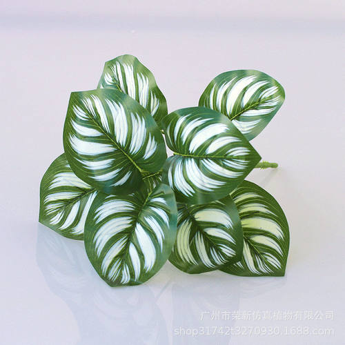 仿真绿植假植物塑料假花植物墙配材过胶手感叶龟背叶绿萝叶子