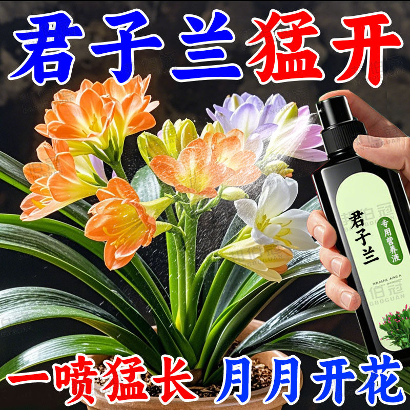 君子兰专用肥专用营养液肥料稀释绿植植物室内盆栽家用通用型液体