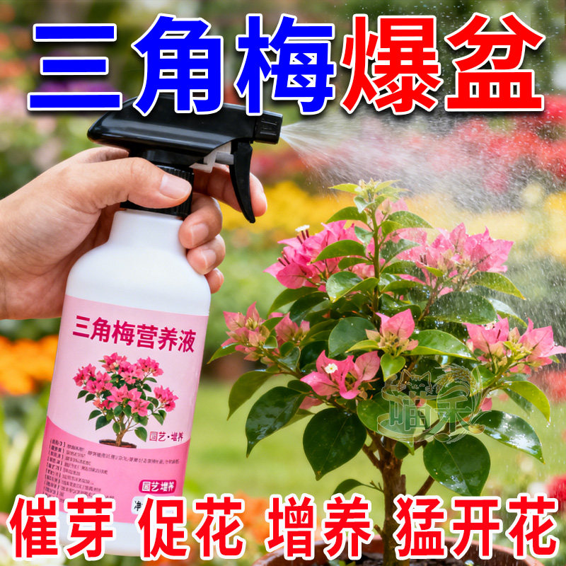 三角梅营养液专用催花养花通用型梅花盆栽家用花卉促开花浓缩园艺,鲜花速递/花卉仿真/绿植园艺,家庭园艺肥料,淘宝优惠券,粉丝福利购,淘宝优惠卷