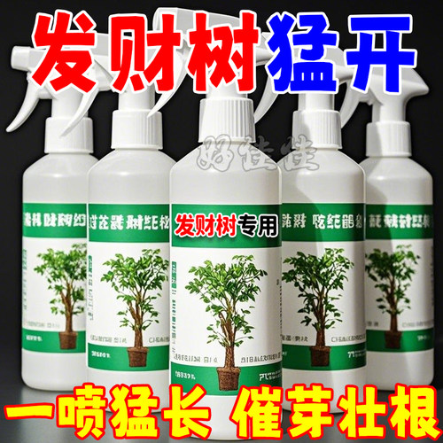 发财树专用肥专用营养液