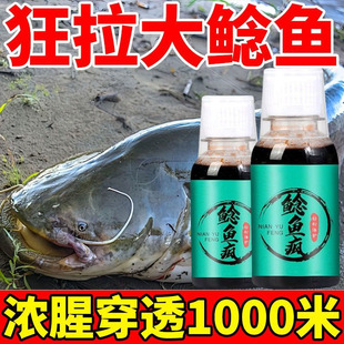 【鲶鱼专攻】钓鲶鱼胡子鱼大口鲶埃及野钓黑坑塘鲺诱食剂小药钓饵