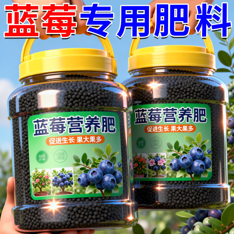 蓝莓营养肥料硫酸钾复合肥蓝莓树