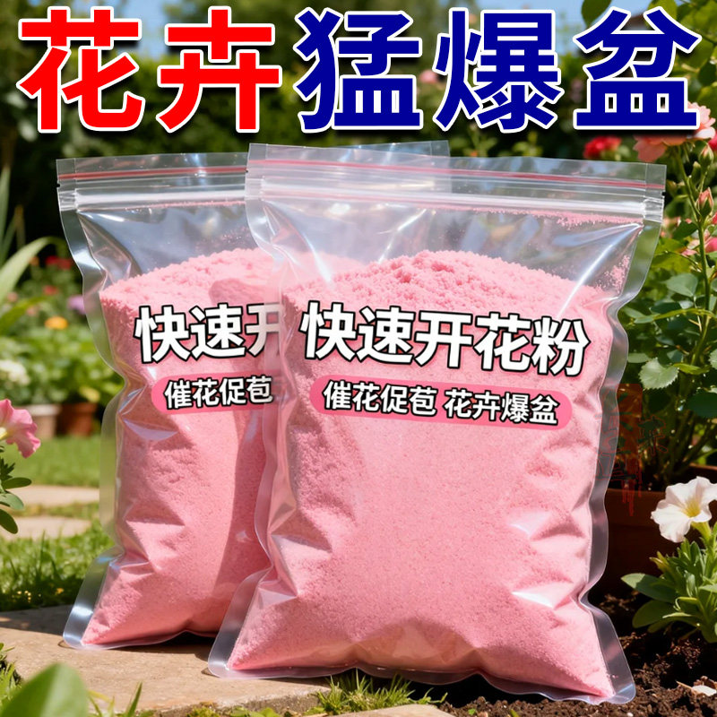 快速开花粉通用君子兰三角梅催花