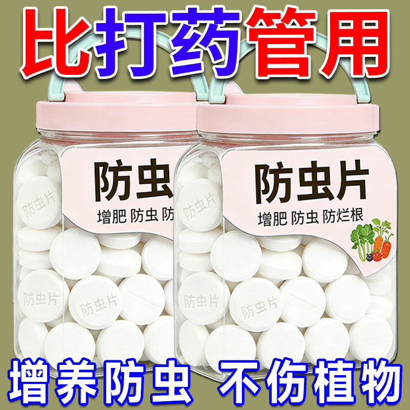 家庭园艺防虫片防小黑飞蚜虫白粉虱小菜蛾飞虫专用花卉绿植多肉片
