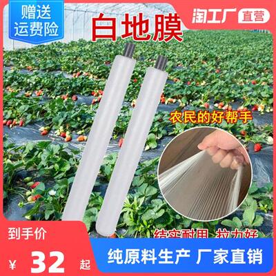 农用白色地膜保温保湿蔬菜大棚种植防草耐拉扯塑料小拱棚薄膜防渗