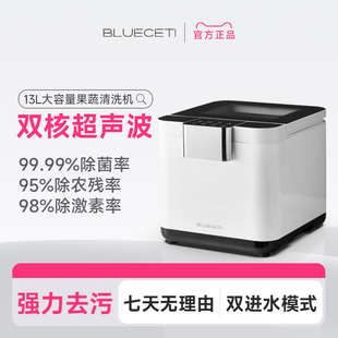 BLUECETI蓝力鲸超声波果蔬清洗机家用洗菜机农药残留清洗净化器
