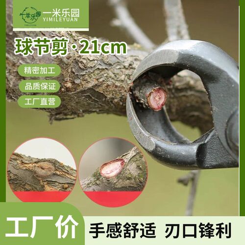 盆景制作工具球节剪球形剪球钳剪子盆景马眼造型剪养花专用工具