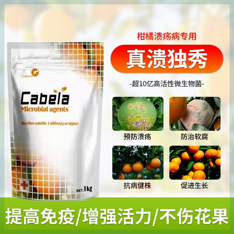 真溃独秀 微生物菌剂柑橘脐橙溃疡桃树流胶果树新型环保型叶面肥
