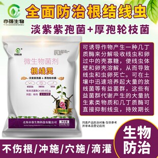 100亿/克根线灵淡紫拟青霉微生物菌作物根结线虫茎线虫根系菌剂