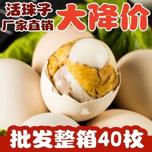五香香辣活珠子喜蛋13天新鲜鸡蛋熟鸡胚毛鸡蛋钢化散养金凤