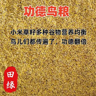 喂鸟碎小米碎米鸟粮无壳谷子黄米喂麻雀酿酒喂鸡鸭鹅饲料布施鸟食