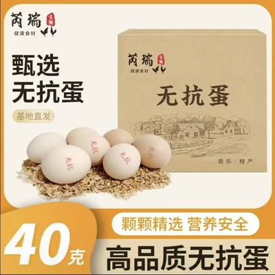【攒单福利1分购】芮瑞40g无抗鸡蛋10-48枚正宗农家散养蛋商超品