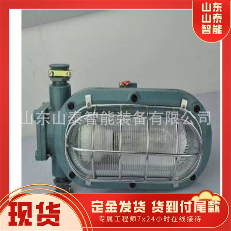 DGC19-127L铸钢矿用隔爆支架灯 防水防尘铸钢矿用隔爆支架灯