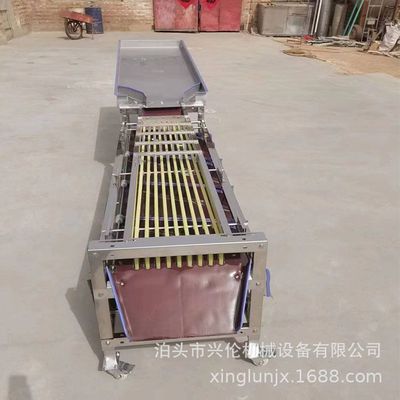 水果分选机器 农用西梅分拣机 山竹选果机 果蔬分选设备 尺寸可调