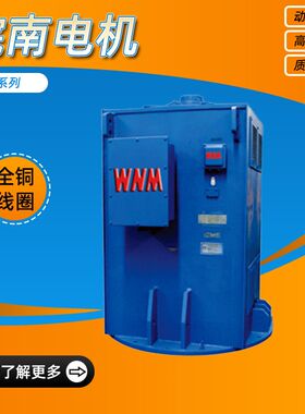 皖南电机YL系列立式高压三相交流异步电动机37kw55kw厂家直供