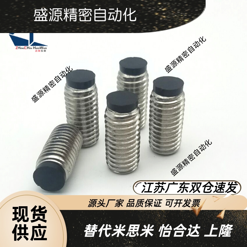 TDA21不锈钢内六角胶头止