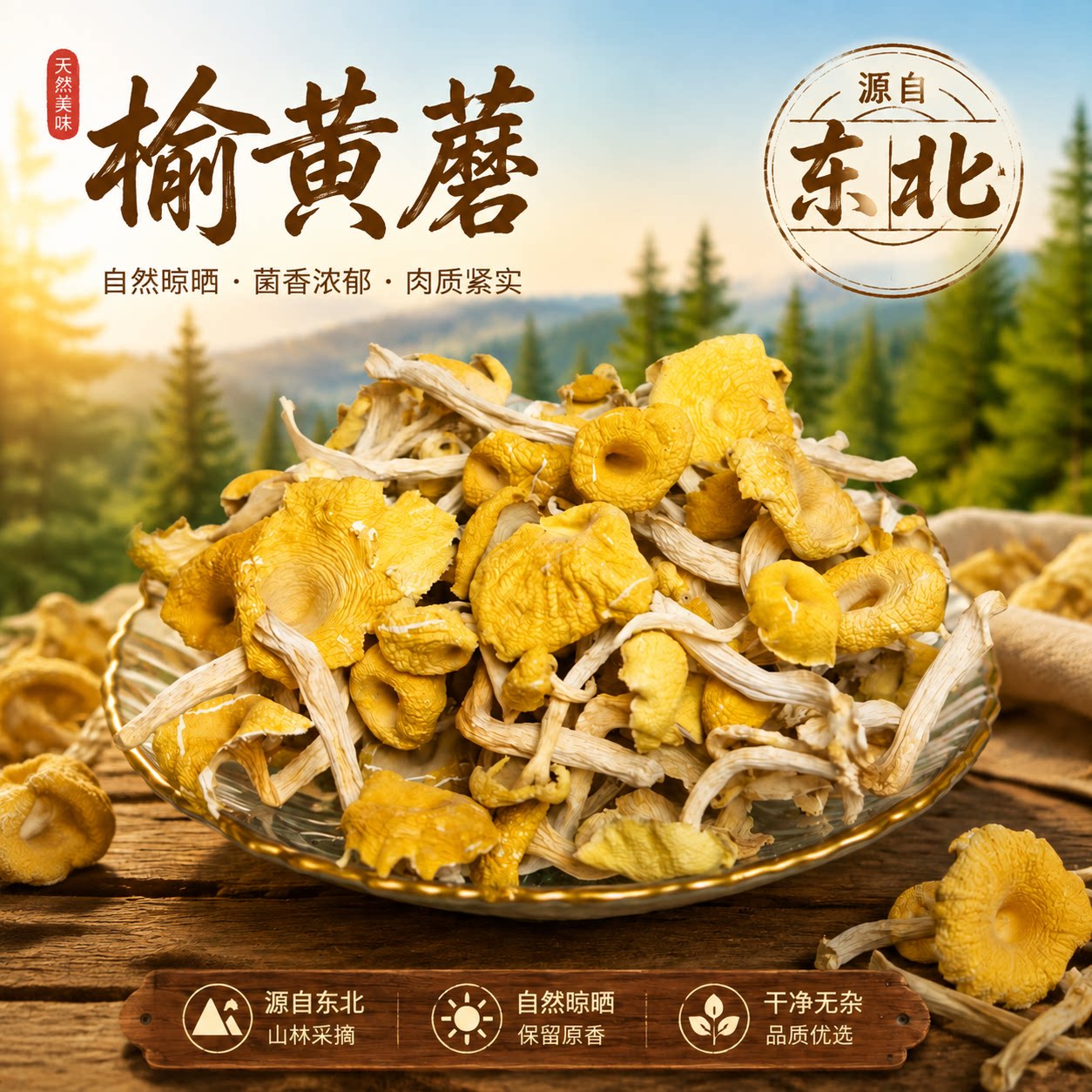 鸡油菌榆黄蘑东北特产野生香菇小鸡炖蘑菇干蘑26年新货煲汤黄丝菌
