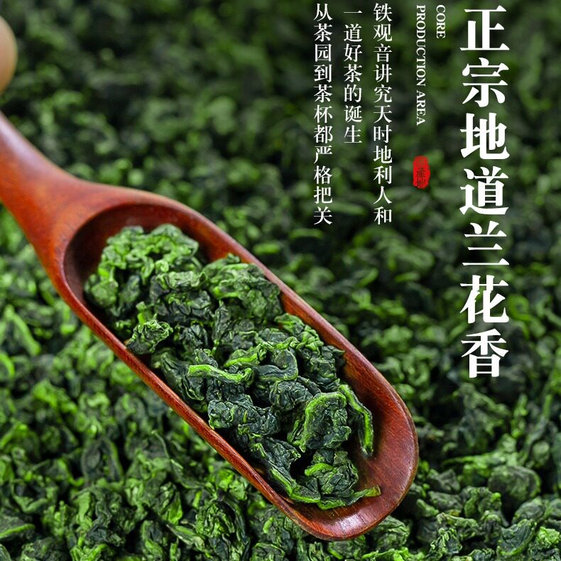 2026安溪春茶铁观音兰花香浓香型福建特级新茶叶乌龙茶chaye500克