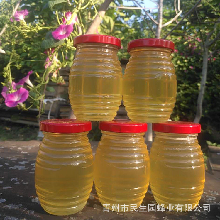 蜂农自产槐花蜜250g瓶装蜂蜜 瓶装槐花蜂蜜 蜂场自产自销洋槐蜜
