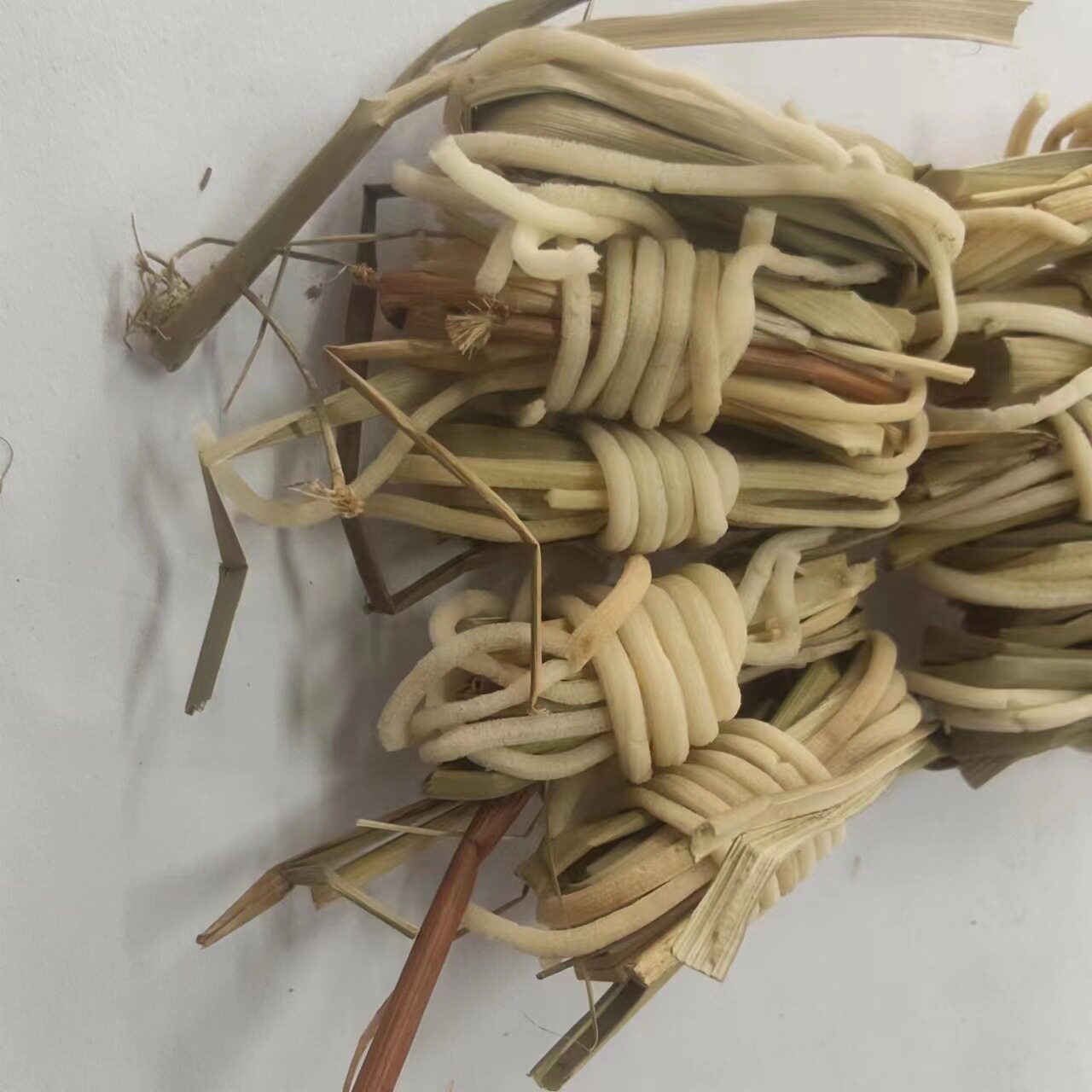灯芯草 材 包邮 虎须草 灯草 1扎300个=38元