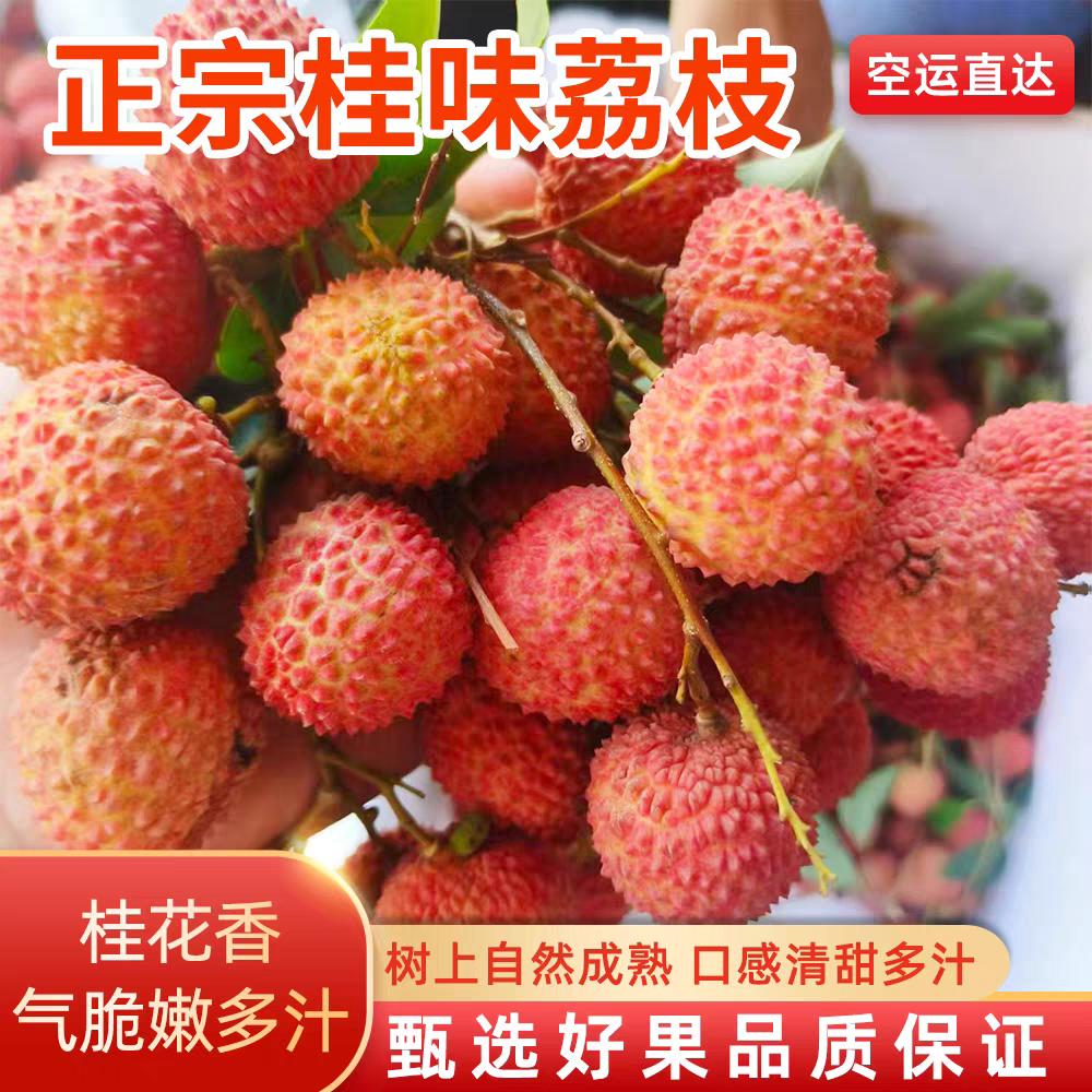 正宗广东潮汕50年老树桂味荔枝新鲜清甜荔枝应季水果顺丰特快