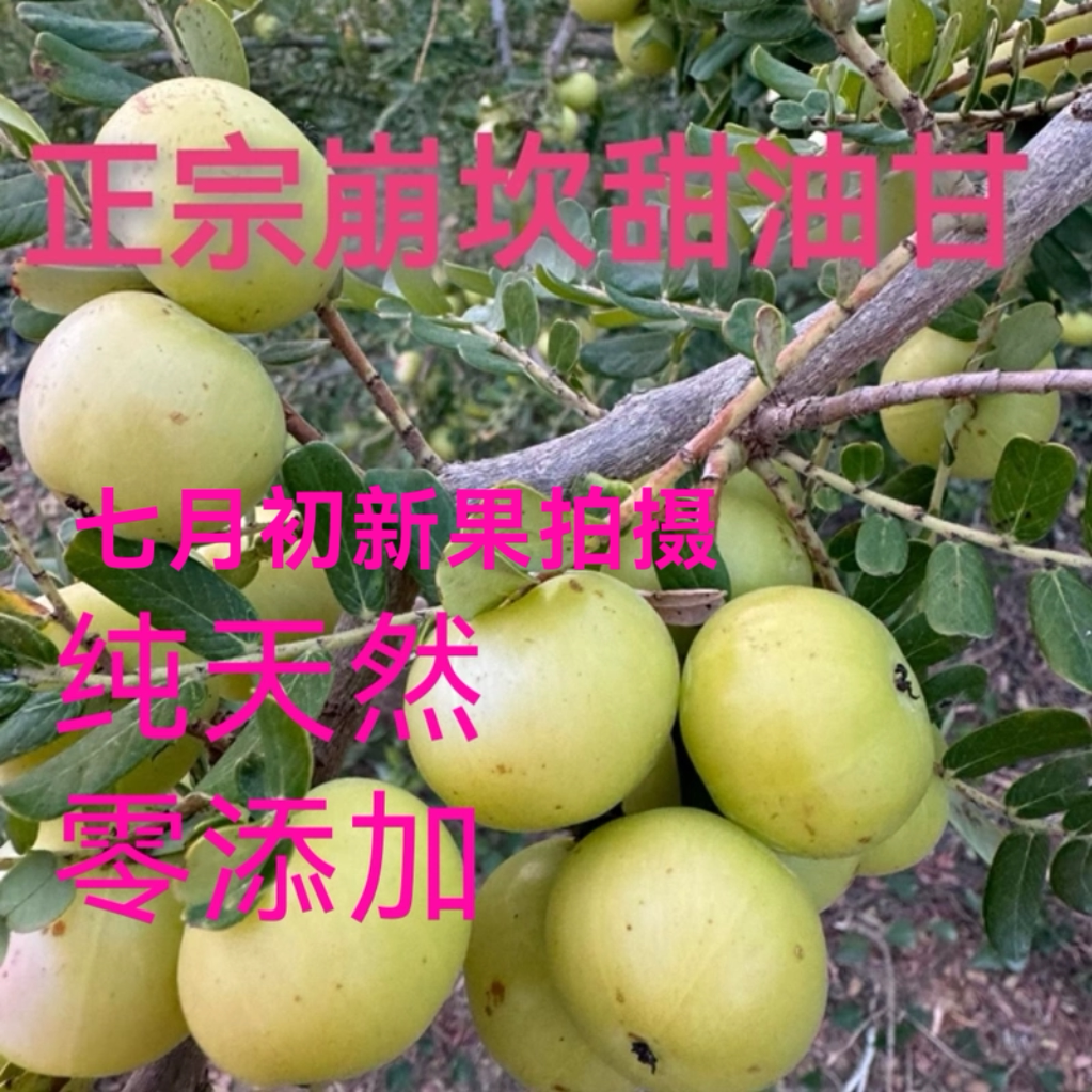 潮汕普宁崩坎甜种油甘果