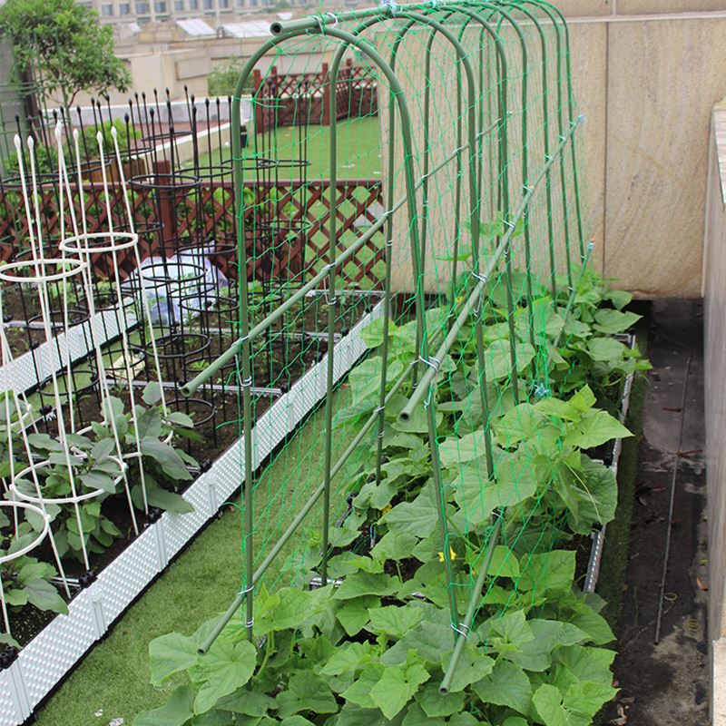 种菜搭架爬藤架菜架子豆角黄瓜庭院藤架花园种植蔬菜菜园攀爬支架