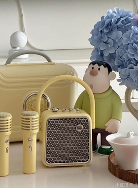 Divoom/点音 东方青鸾SE家庭k歌音箱家用蓝牙ktv音响送女生话筒一