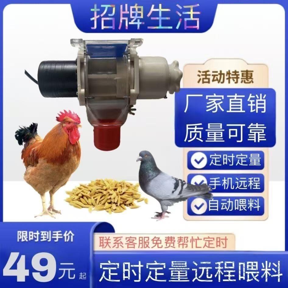 智能远程手机定时喂食器鸽子鸡鸭信鸽食槽定时全自动喂鸡神器鸽子