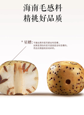 海南原生态黄金籽星月菩提手串双