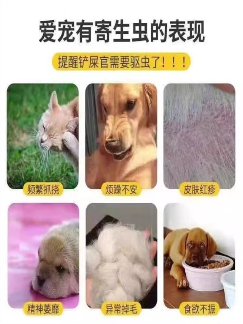 狗狗驱虫药狗驱虫洗澡沐浴露止痒去虱子杀菌除臭宠物狗去跳蚤药浴