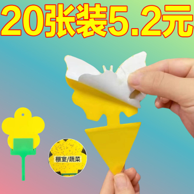 小黄板粘虫板家用果蝇诱捕器小黑飞粘板双面小飞虫诱虫沾虫纸