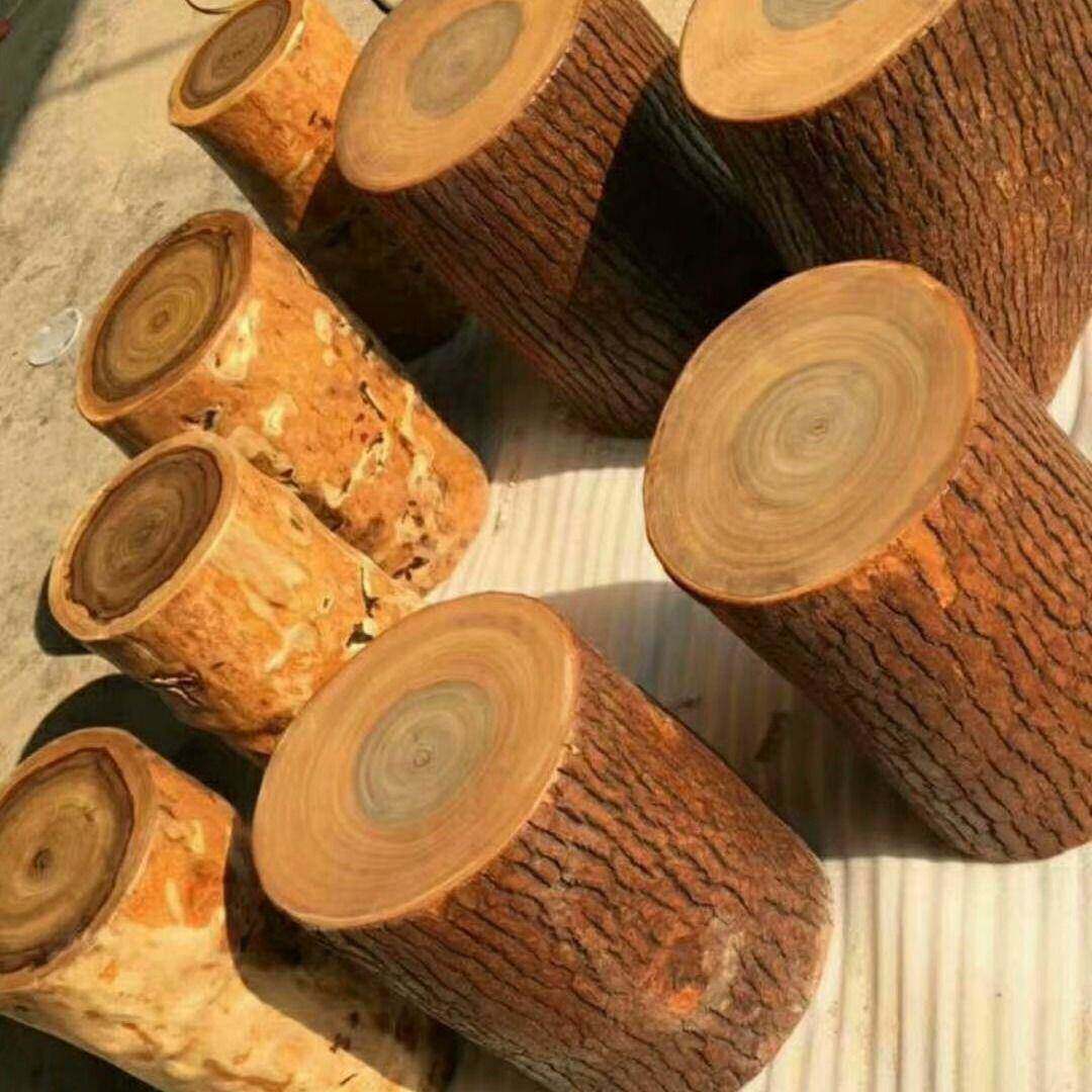 自带芳香香樟木原木樟树木墩子凳子实木树墩大木桩底座茶几凳圆木