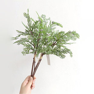 松柏叶仿真龙柏圣诞装饰树叶扁柏美人松绿植崖柏仿真园艺装饰