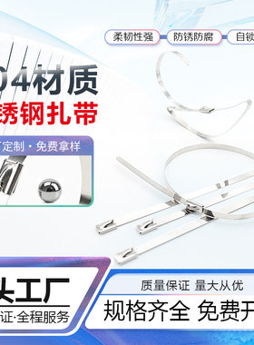 CHS长虹304不锈钢自锁扎带｜10×