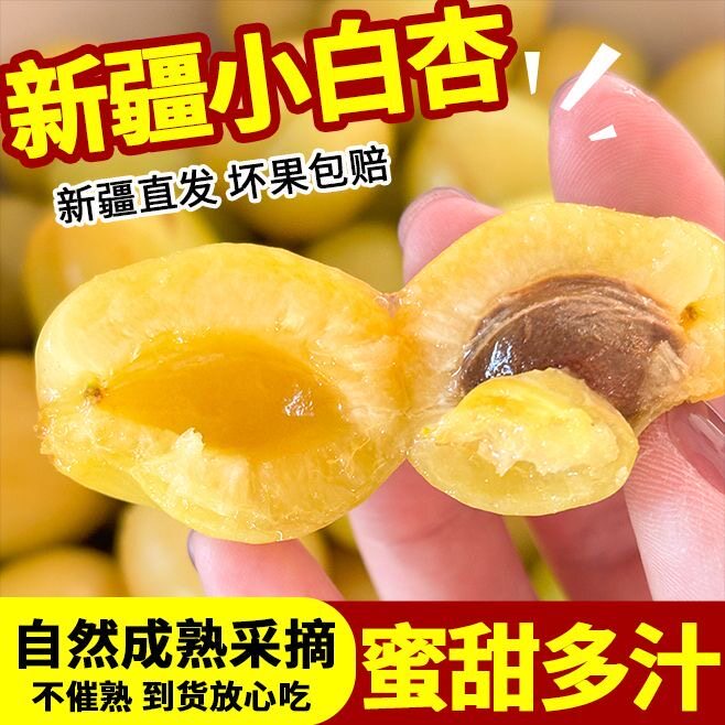 正宗新疆轮台小白杏应当季新鲜孕妇水果库车纯甜杏子3斤4斤包邮