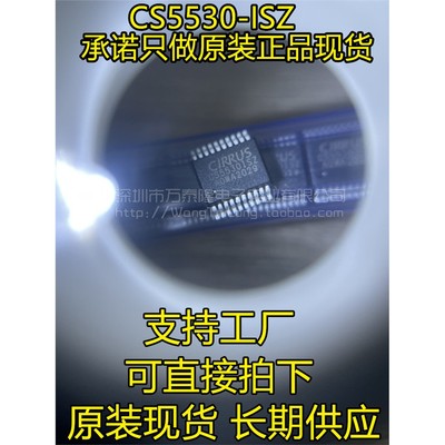 全新原装贴片CS5530ISZ-